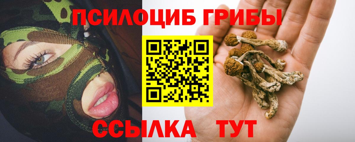 Магнитогорск  как найти   Галлюциногенные грибы Psilocybine cubensis  Вход с VPN  Псилоцибиновые грибы Psilocybe 